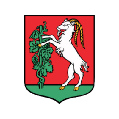 Urząd miasta - logo